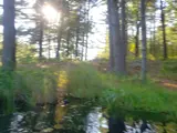 kayak on turtle lake